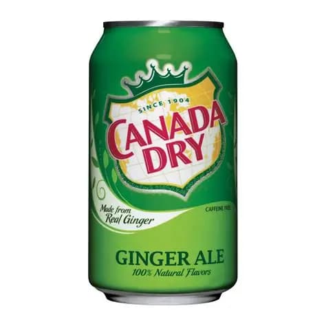 Ginger Ale 12OZ