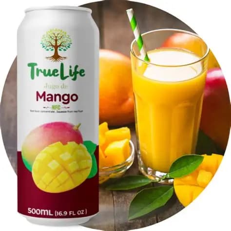 True Life Mango Juice Drink 500ML