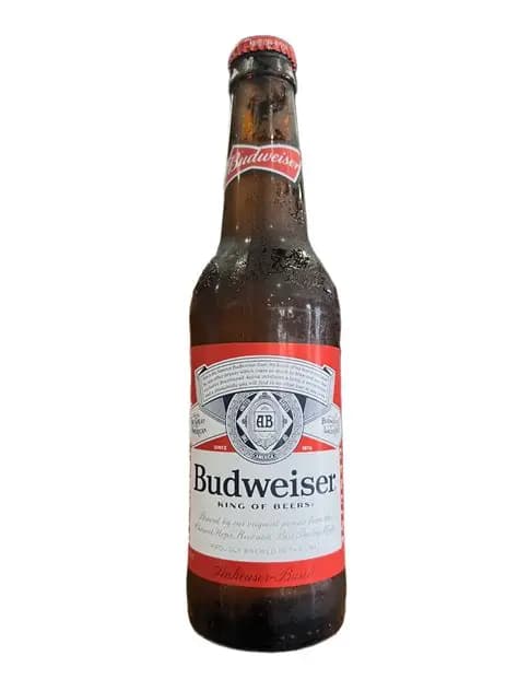 Budweiser Single 12 Fl Oz Bottle