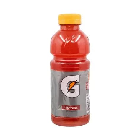 Gatorade Fruit Punch 20oz